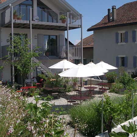Le Coq Chantant Studios D'Hotes & Boutique Hotel St-Livres Saint-Livres Ngoại thất bức ảnh