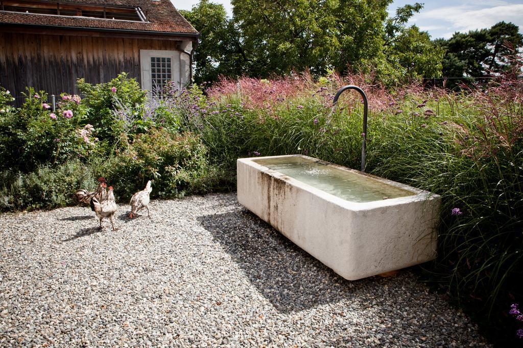 Le Coq Chantant Studios D'Hotes & Boutique Hotel St-Livres Saint-Livres Ngoại thất bức ảnh