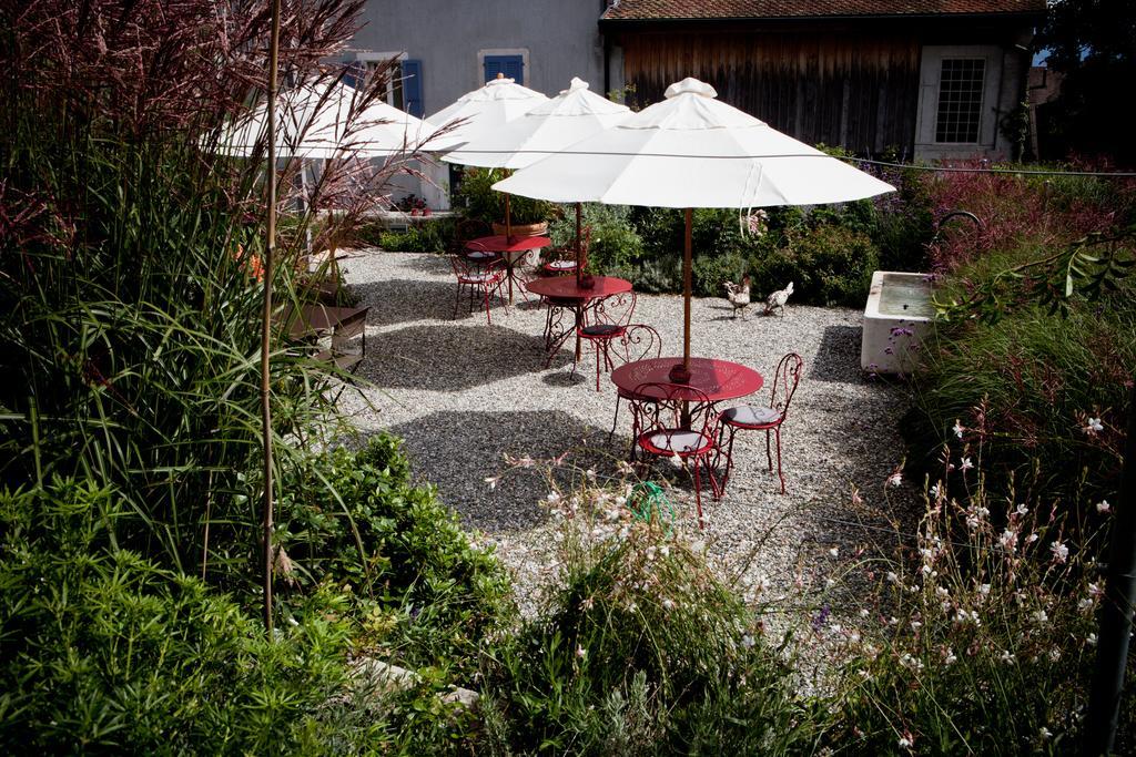 Le Coq Chantant Studios D'Hotes & Boutique Hotel St-Livres Saint-Livres Ngoại thất bức ảnh