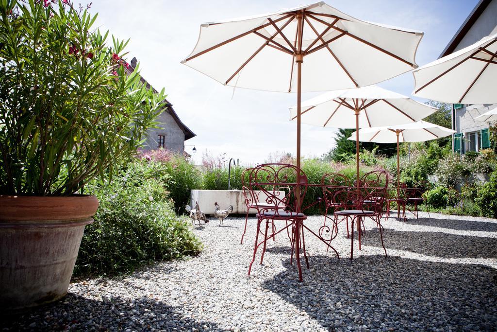 Le Coq Chantant Studios D'Hotes & Boutique Hotel St-Livres Saint-Livres Ngoại thất bức ảnh