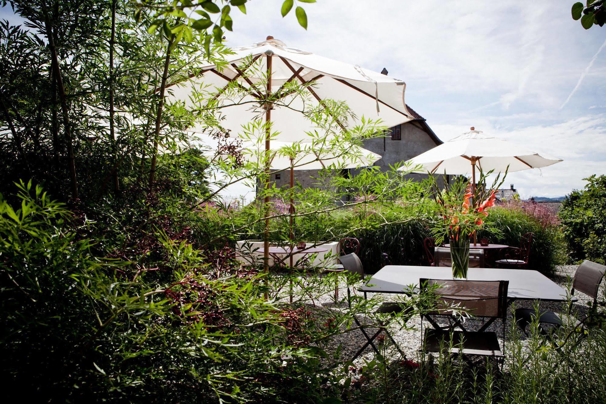 Le Coq Chantant Studios D'Hotes & Boutique Hotel St-Livres Saint-Livres Ngoại thất bức ảnh